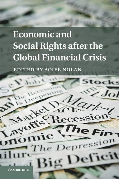 bokomslag Economic and Social Rights after the Global Financial Crisis