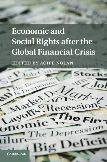 Economic and Social Rights after the Global Financial Crisis 1