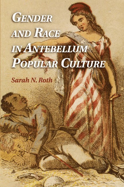 Sarah N. Roth, Pennsylvania) Roth, Sarah N. (Widener University - Gender and Race in Antebellum Popular Culture, Häftad