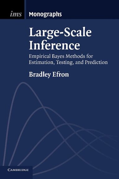 Bradley Efron - Large-Scale Inference, Häftad