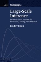 bokomslag Large-Scale Inference