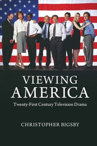 bokomslag Viewing America