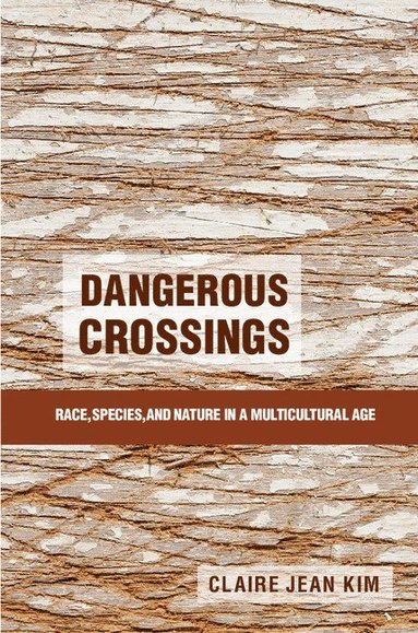 bokomslag Dangerous Crossings