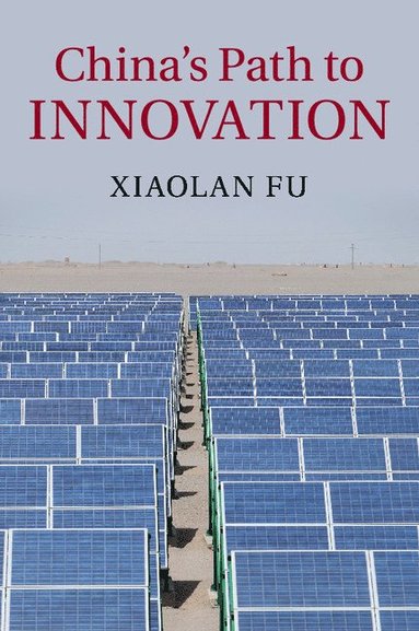 bokomslag China's Path to Innovation