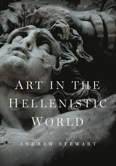 Andrew Stewart, Berkeley) Stewart, Andrew (University of California - Art in the Hellenistic World, Häftad