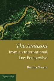 Beatriz Garcia - Amazon from an International Law Perspective, Häftad
