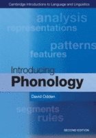 bokomslag Introducing Phonology