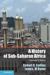 bokomslag A History of Sub-Saharan Africa