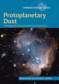 bokomslag Protoplanetary Dust