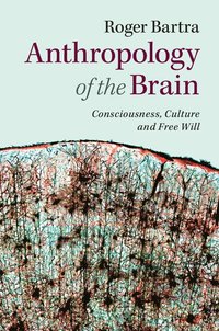 bokomslag Anthropology of the Brain