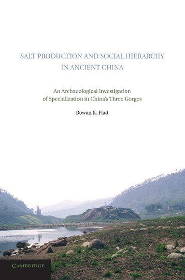 Rowan K. Flad - Salt Production and Social Hierarchy in Ancient China, Häftad