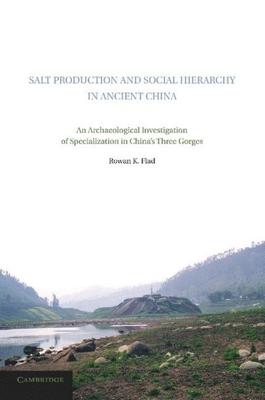 bokomslag Salt Production and Social Hierarchy in Ancient China