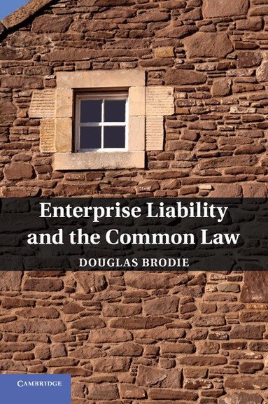 Douglas Brodie - Enterprise Liability and the Common Law, Häftad