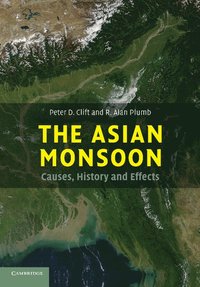 bokomslag The Asian Monsoon