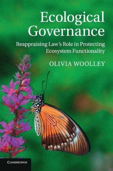 bokomslag Ecological Governance