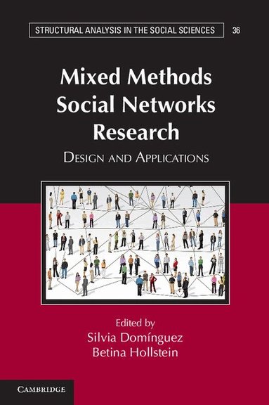 Silvia Domínguez, Betina Hollstein - Mixed Methods Social Networks Research, Häftad