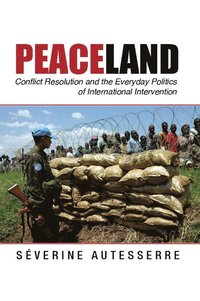 bokomslag Peaceland: Conflict Resolution and the Everyday Politics of International Intervention
