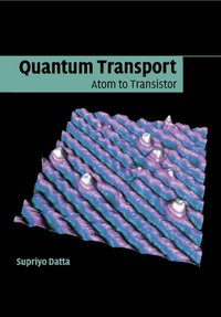 bokomslag Quantum Transport