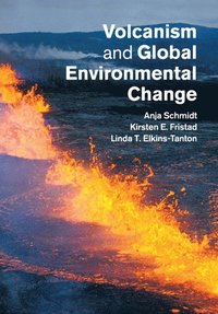 bokomslag Volcanism and Global Environmental Change
