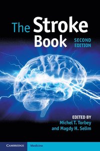 bokomslag The Stroke Book
