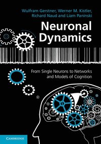 bokomslag Neuronal Dynamics
