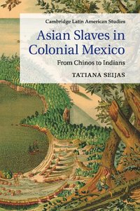 bokomslag Asian Slaves in Colonial Mexico