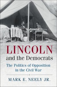 bokomslag Lincoln and the Democrats