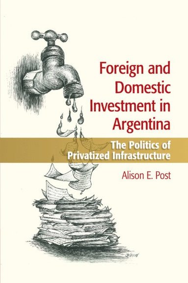 bokomslag Foreign and Domestic Investment in Argentina