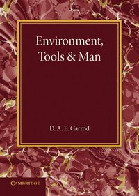 bokomslag Environment, Tools and Man