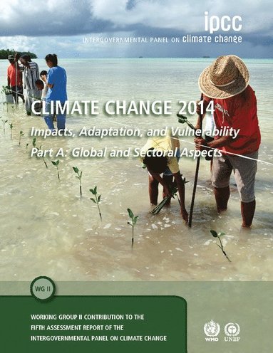 bokomslag Climate Change 2014 - Impacts, Adaptation and Vulnerability: Part A: Global and Sectoral Aspects: Volume 1, Global and Sectoral Aspects