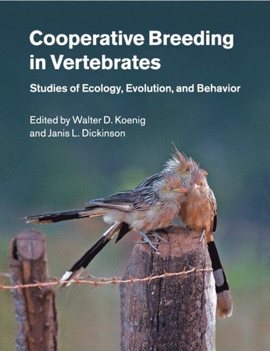 bokomslag Cooperative Breeding in Vertebrates