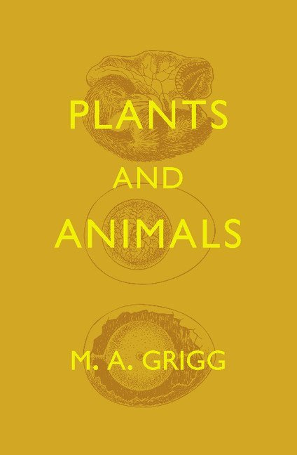 Plants and Animals