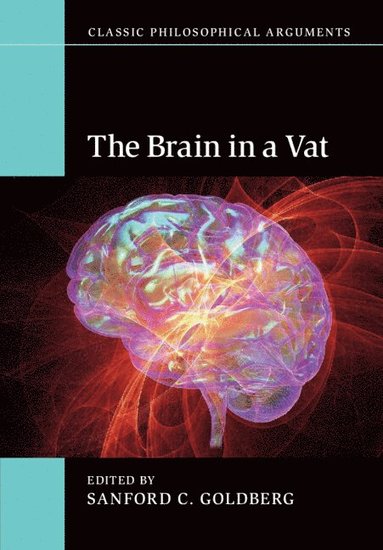 bokomslag The Brain in a Vat