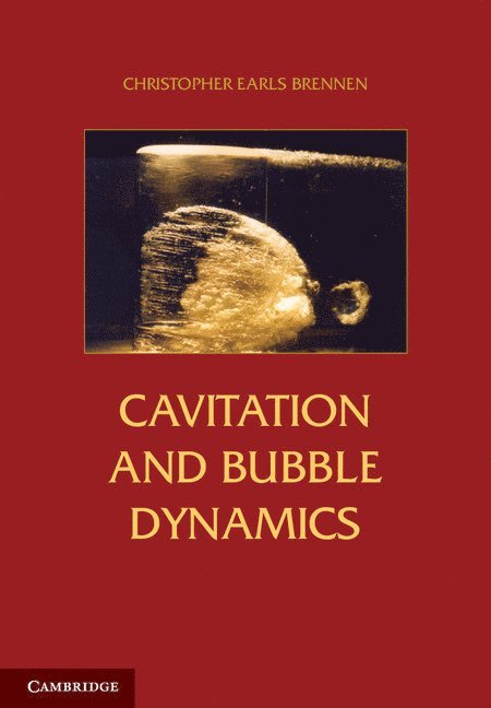 Cavitation and Bubble Dynamics 1