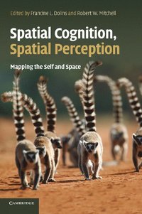 bokomslag Spatial Cognition, Spatial Perception