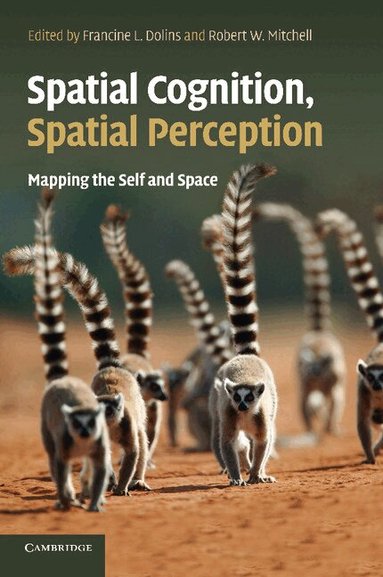 Francine L. Dolins, Robert W. Mitchell - Spatial Cognition, Spatial Perception, Häftad