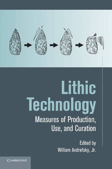 bokomslag Lithic Technology