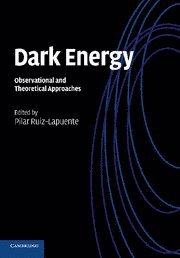 bokomslag Dark Energy