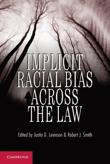 bokomslag Implicit Racial Bias across the Law