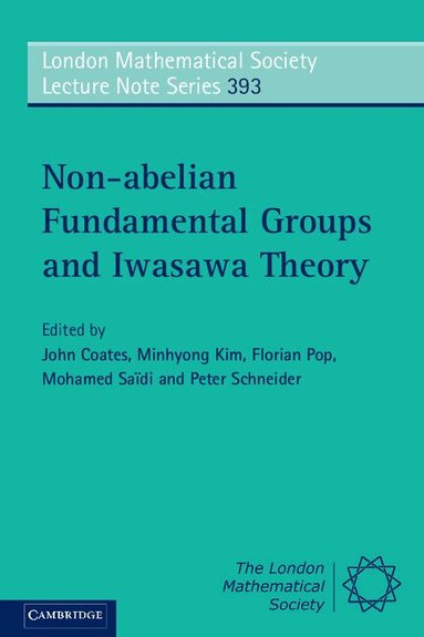John Coates, Minhyong Kim, Florian Pop, Mohamed Saïdi, Peter Schneider - Non-abelian Fundamental Groups and Iwasawa Theory, Häftad