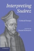 Interpreting Suárez