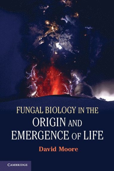 bokomslag Fungal Biology in the Origin and Emergence of Life