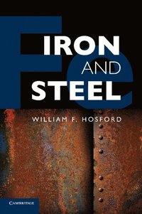 bokomslag Iron and Steel