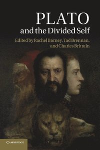 bokomslag Plato and the Divided Self