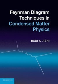 bokomslag Feynman Diagram Techniques in Condensed Matter Physics