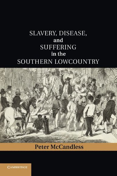 bokomslag Slavery, Disease, and Suffering in the Southern Lowcountry