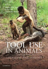 bokomslag Tool Use in Animals