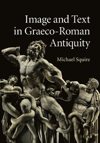 bokomslag Image and Text in Graeco-Roman Antiquity