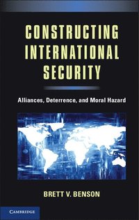 bokomslag Constructing International Security