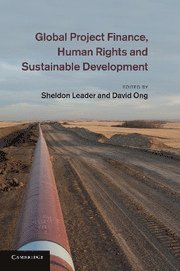 bokomslag Global Project Finance, Human Rights and Sustainable Development